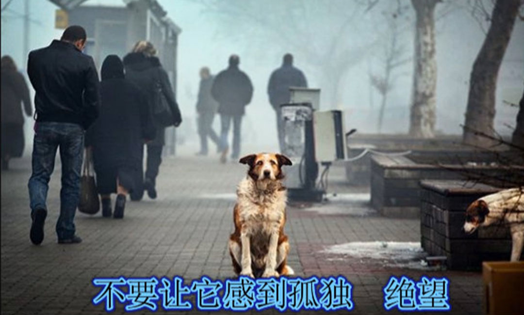 南昌南昌爱影圈微博微信转发案例